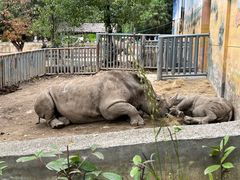 -西安秦岭野生动物园