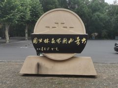 -大奇山国家森林公园