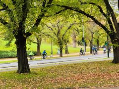 -墨尔本皇家植物园