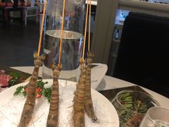 花竹斑节虾-汤城·料青山