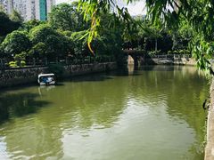 -晓港公园