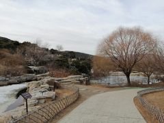 -北京西山国家森林公园