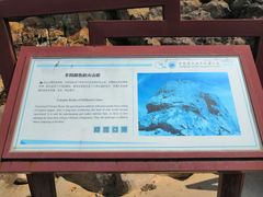 -白草畔自然风景区