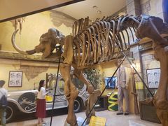 -信不信由你博物馆