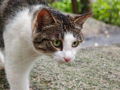 -崂山巨峰游览区