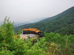 -铁山坪森林公园