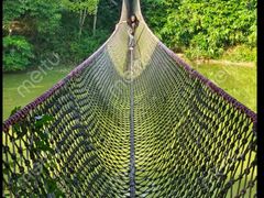 -杨记隆府(重庆总店)