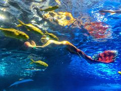 -太平洋海底世界