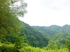 -沣峪口