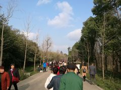 -蜀冈西峰生态公园