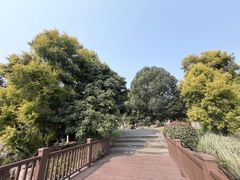 -张坝桂圆林公园