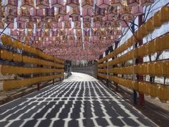 -青龙湖公园