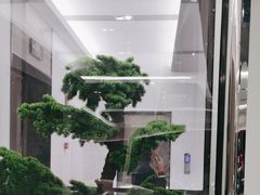 -小八仙·宴(三峡茶庄店)
