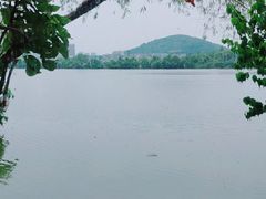 -东湖食堂·湖景餐厅•会议