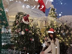 -Blue Concept Cafe&Farm·關於藍