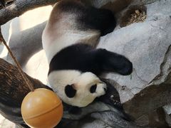 -宁波野生动物园