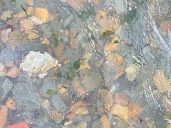 -银沙滩浴场