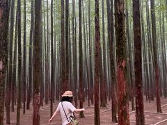-山王坪喀斯特国家生态公园