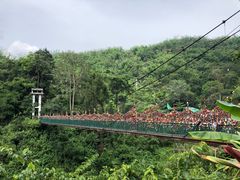 -西双版纳原始森林公园