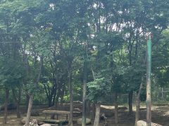 -常州淹城野生动物世界