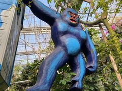 -呀路古热带植物园