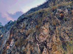-黄埔油麻山森林公园
