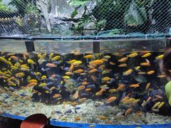 -太平洋海底世界