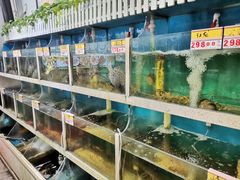 水产区-鑫悦楼煎蟹·16年海鲜大排档
