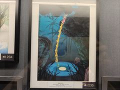 -上海动漫博物馆