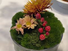 -眉州东坡(清河万象汇店)