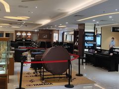 -知音艺术教育培训·钢琴培训·音乐培训(河西金鹰世界校区)