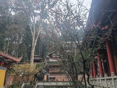 -都江堰普照寺