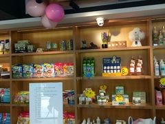 -贝贝宠物乐园(常青花园店)