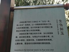 -孺子亭公园