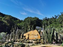 -深圳仙湖植物园
