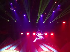 -珠海横琴长隆《卡卡虎奇遇记》