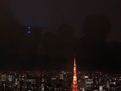 -六本木新城展望台(东京城市景观)