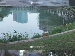 -四海公园(南山区)