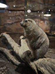 -Zoolung Zoolung动物主题公园(海信广场店)