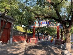 -北京国子监胡同