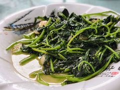 -洞背山庄(洞背院区式管理小区店)