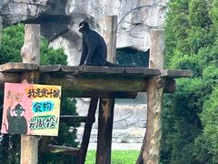 -大连森林动物园