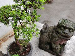 -青竺·青竹茶舍(断桥店)