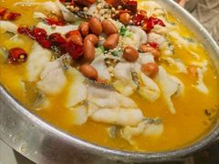 -Aqua Oasis 水天堂(石路天虹店)