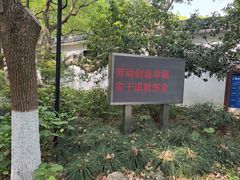 -瀛洲公园