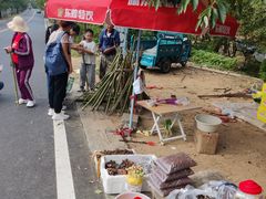 -沂蒙山旅游区云蒙景区(蒙山国家森林公园)