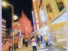 -秋叶原电器街