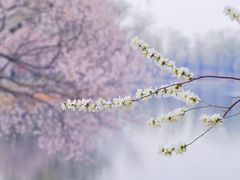 -颐和园
