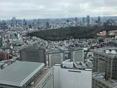-东京都厅舍