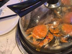 -半岛听涛蒸汽海鲜自助(K11店)